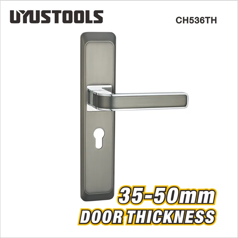 Poignée de porte à serrure, finition grise CH536TH