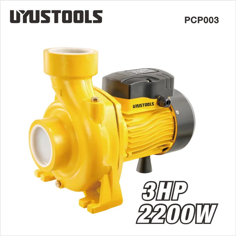 Pompe centrifuge 2 200 W PCP003