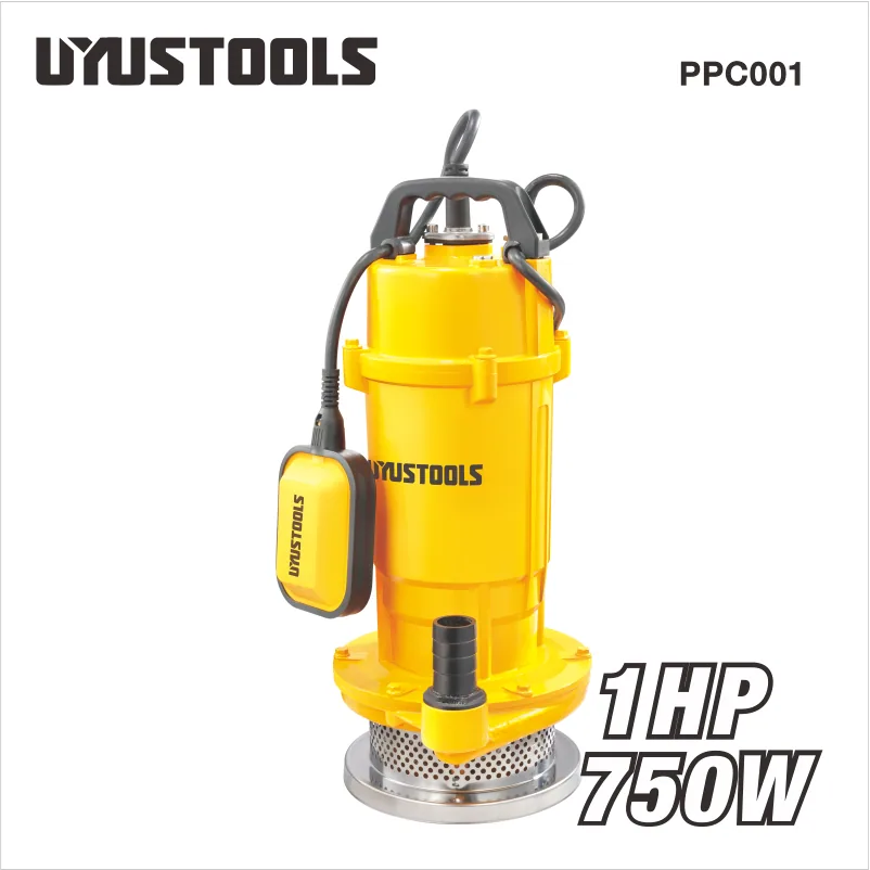 Pompe immergée eau claire 750 W PPC001