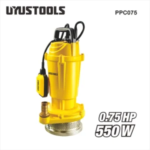 Pompe submersible eau claire 1,5 m³/h