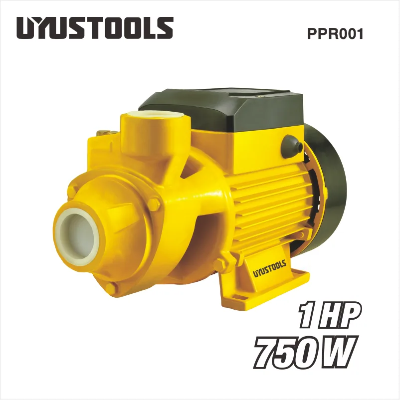 Pompe périphérique 60 L/min PPR001